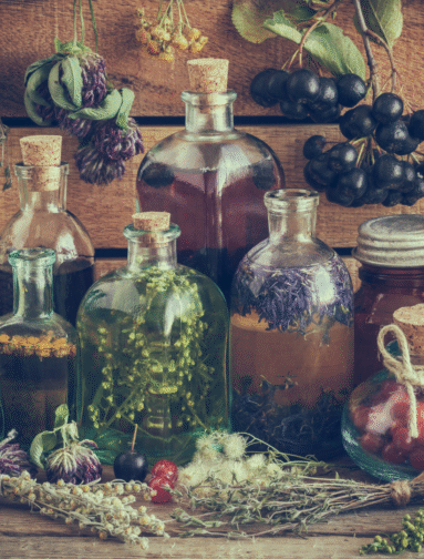 Glass bottles with herbs and botanical infusions representing natural apothecary preparations.