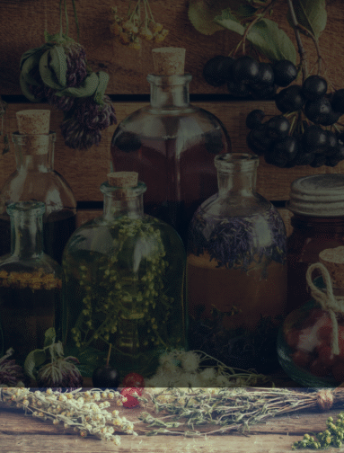 Glass bottles with herbs and botanical infusions representing natural apothecary preparations.